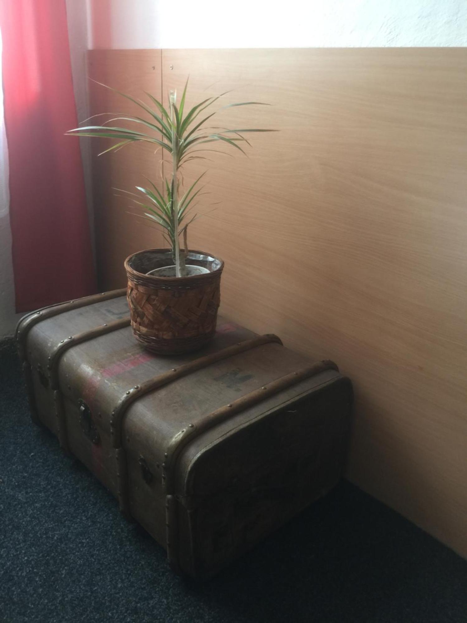 Hotel Dvorak Chrast Екстер'єр фото